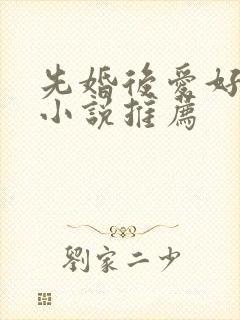 先婚后爱好看的小说推荐