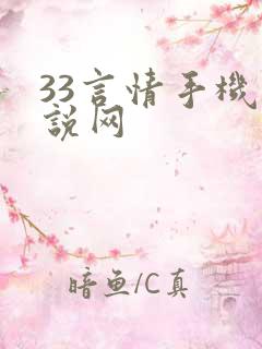 33言情手机小说网