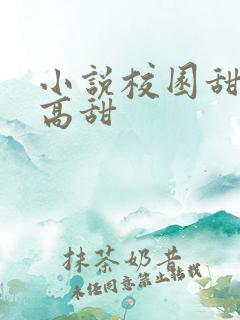 小说校园甜宠文高甜