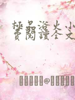 极品浴火小说免费阅读全文