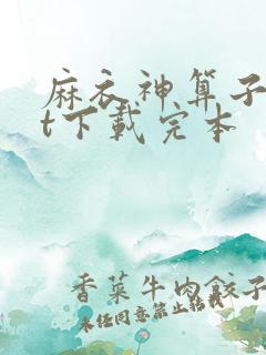 麻衣神算子txt下载完本