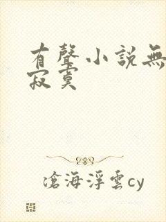 有声小说无敌真寂寞