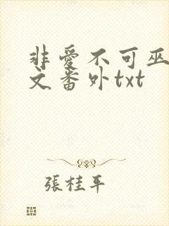 非爱不可巫哲全文番外txt