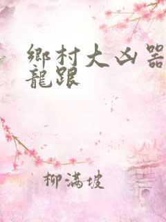 乡村大凶器小说龙跟