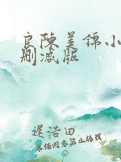 良陈美锦小说未删减版