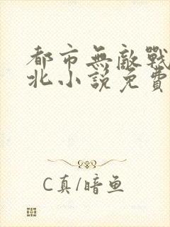 都市无敌战神林北小说免费阅读