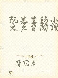 阮先生的小说全文免费阅读无弹窗