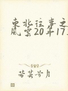 东北往事之黑道风云20年17集完整版
