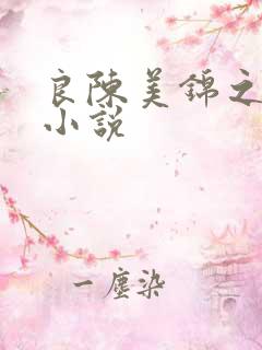 良陈美锦之类的小说