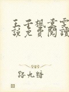 王子枫袁雯洁小说免费阅读