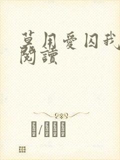 莫用爱囚我小说阅读