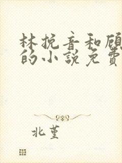 林挽音和顾延承的小说免费阅读