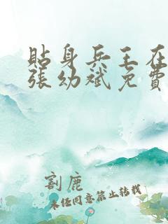贴身兵王在都市张幼斌免费阅读全文