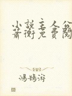 小说主人公乔念萧衡免费阅读