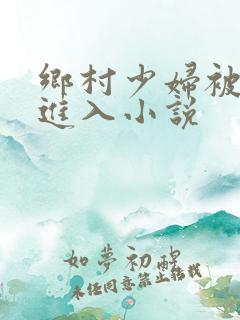 乡村少妇被猛烈进入小说