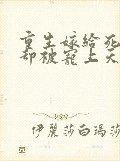 重生嫁给死对头却被宠上天短剧