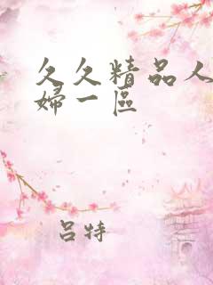 久久精品人妻少妇一区