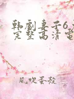 韩剧妻子6免费完整高清电视剧在线看中文