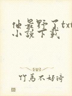 他最野了txt小说下载