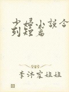 少妇小说合集系列短篇