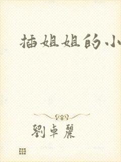 插姐姐的小说