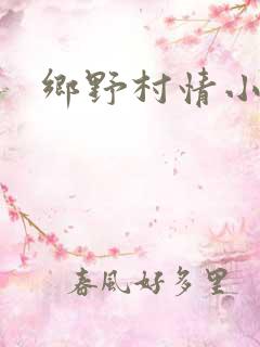 乡野村情小说