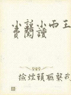 小说小雨王叔免费阅读