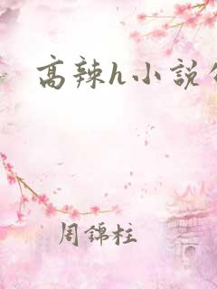 高辣h小说公媳