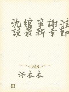 沈绾宁谢淮今小说最新章节免费阅读