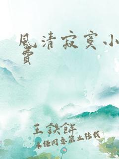 风清寂寞小说免费