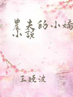 农夫的小娇娘 小说
