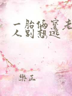 一胎俩宝老婆大人别想逃