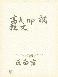 高h np 调教文