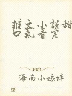 推文小说甜文一口气看完