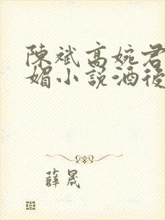 陈斌高婉君赵心媚小说酒后