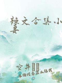 辣文合集小说人妻