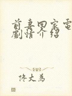 前妻回家电视剧剧情介绍
