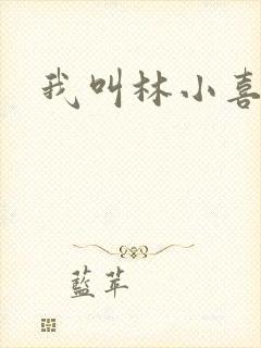 我叫林小喜全文
