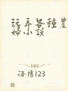 玩弄各种农村老妇小说
