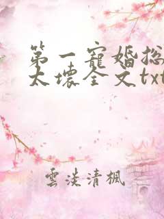 第一宠婚总裁别太坏全文txt