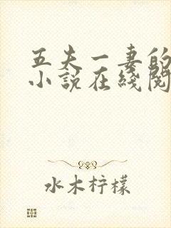 五夫一妻的幸福小说在线阅读