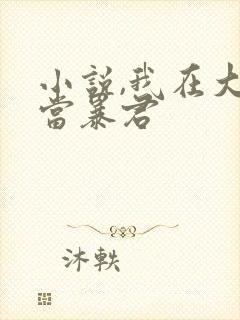小说,我在大明当暴君