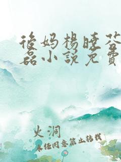 后妈杨晓芬与王磊小说免费阅读