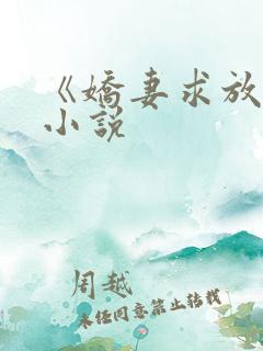 《娇妻求放过》小说