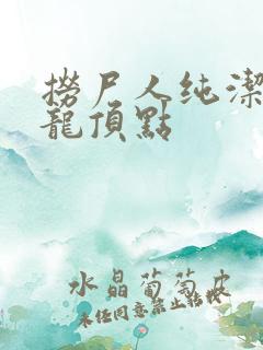 捞尸人纯洁滴小龙顶点