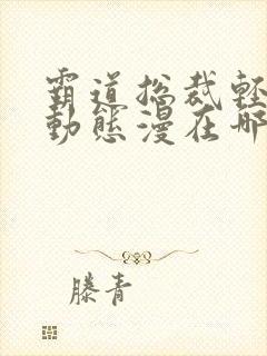 霸道总裁轻点爱动态漫在哪里免费看