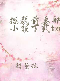 总裁前妻哪里逃小说下载txt