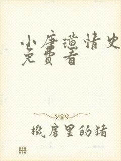 小唐璜情史在线免费看