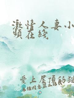 激情人妻小说视频在线