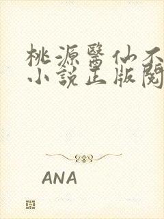 桃源医仙不风流小说正版阅读